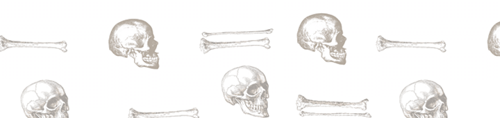 skull pattern